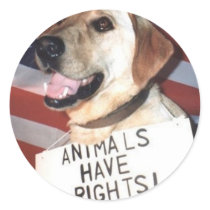 Animals Have Rights Round Sticker