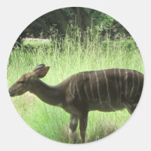 animals stickers