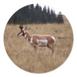Animals Wild 1 Round Stickers