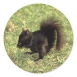 Animals Wild 1 Sticker