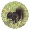 Animals Wild 1 stickers