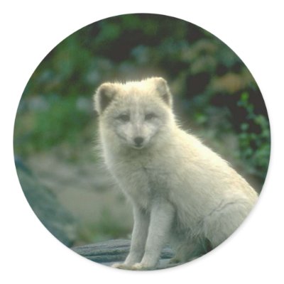 Animals Wild 1 Stickers by mickeyelvis128