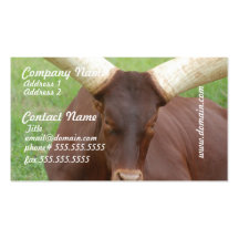Ankhole Cattle  Business Cards