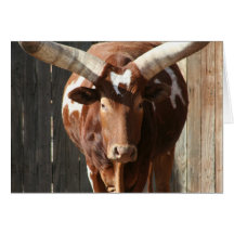Ankole-Watusi Steer With Huge Horns Greeting Cards