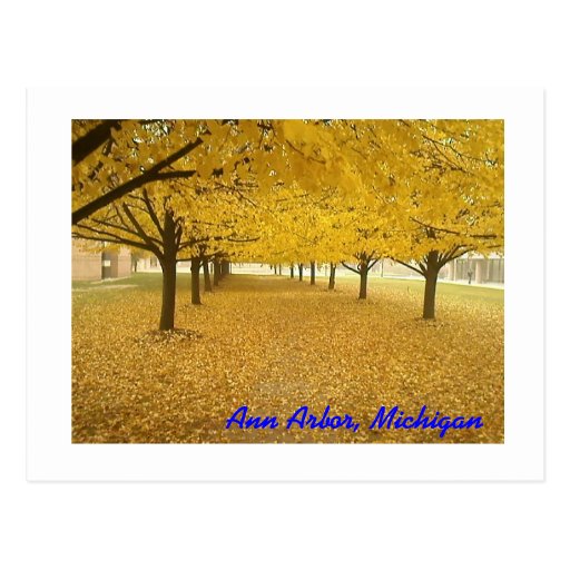 Ann Arbor in Fall Postcards