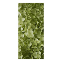 Annabelle Hydrangea Wedding Program Custom Rack Card