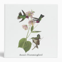Anna's Hummingbird, James Audubon Vinyl Binders