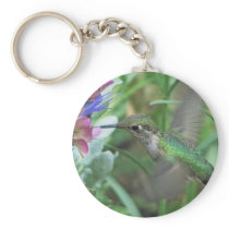 Anna's Hummingbird Keychain