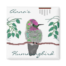 Anna's Hummingbird Fridge Magnets