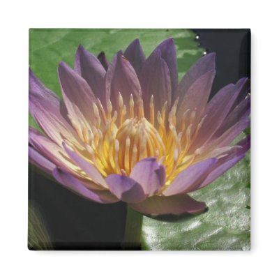 Anne Emmet Refrigerator Magnet by utopiaaquatic