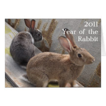 Année de la carte de lapin