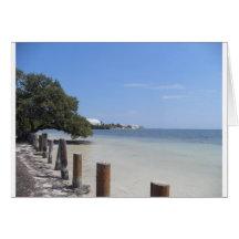 Annes Beach Cards