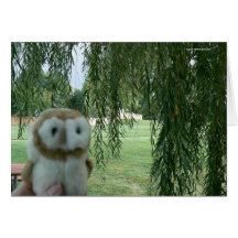 Annie Under Willow Greeting Cards
