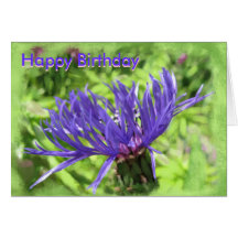Anniversaire bouton-Heureux bleu Cartes De Vœux