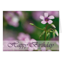 Anniversaire - carte de voeux rose d'oxalide blanc