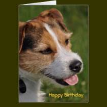 Anniversaire du chien cartes