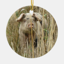 Anniversaire tacheté mignon de coutume de porc décoration de noël