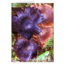 Anniversaire Tasse-Heureux de champignons pourpres Cartes De Vœux