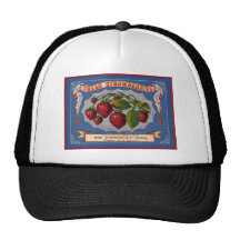 Annonce fraîche vintage de fraises (1868) casquettes