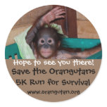Annual Animal Charity 5k Run
