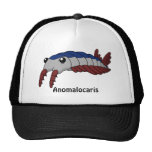 Anomalocaris Printed Hat