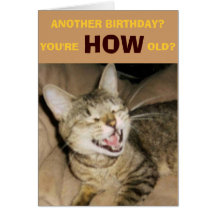ANOTHER BIRTHDAY?, YOU'RE HOW OLD? CARD