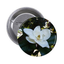 Another Divergent Design Pinback Buttons
