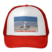 Another Great Day! Mesh Hat