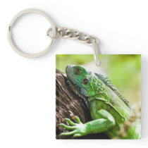 another green day key chains