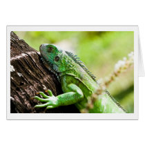 another green day cards