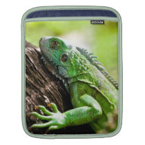 another green day ipad sleeves