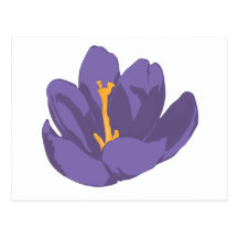 Another pretty purple flower post cards