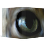 Ansel's Eye 3 Ring Binder