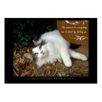 Answers Life Lessons From a Cat ACEO Art Cards