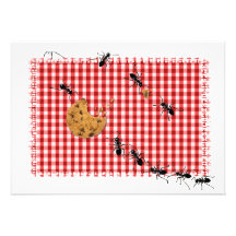 Ant Picnic Invite