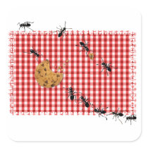 Ant Picnic
