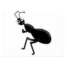 ant post card