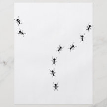 ant trail icon personalized flyer