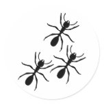 ant trail stickers