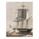 Antarctica 2 post card