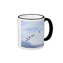 Antarctica, Antarctic Peninsula. Chinstrap Mugs