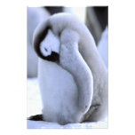 Antarctica, Antarctic Peninsula, Weddell Sea, Art Photo