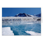 Antarctica Greeting Card