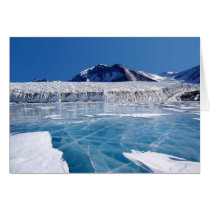 Antarctica Greeting Card