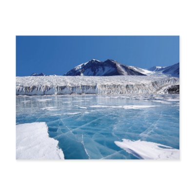 Antarctica Post Card by beverlytazangel