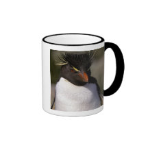 Antarctica, Sub-Antarctic Islands, South 5 Mugs
