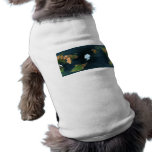 Antarktis Antarctica Hund Tshirts