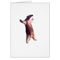 Anteater Card