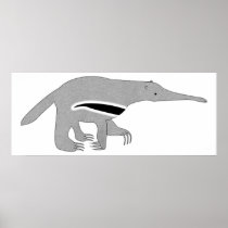 Anteater on a Poster