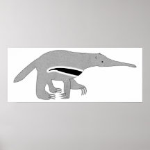 Anteater on a Poster